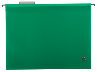 Файл подвесной пластиковый, А4, зеленый BM.3360-04 фото