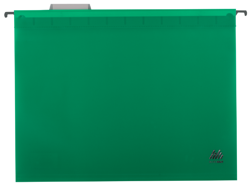 Файл подвесной пластиковый, А4, зеленый BM.3360-04 фото