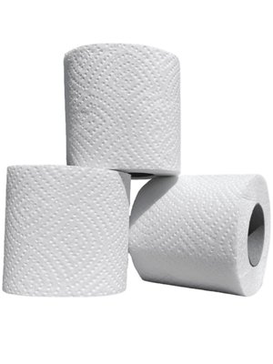 Папір туалетний Papero на гільзі, 2 шари, 12.5 м, 48 рул/упаковка ТР028 фото