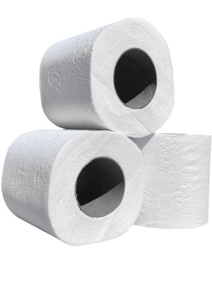 Туалетная бумага Papero на гильзе, 2 слоя, 17 м, 48 рул/упаковка ТР030 фото