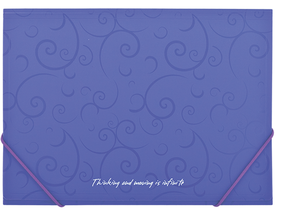 Папка пласт. А4 на гумках, BAROCCO, фіолетовий BM.3914-07 фото