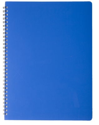 Зошит на пружині "GLOSS" А4, 80арк.,кл., пластик.обкл., синій BM.24452151-02 фото