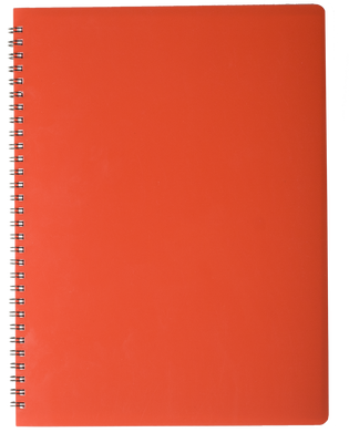 Зошит на пружині "GLOSS" А4, 80арк.,кл., пластик.обкл., червоний BM.24452151-05 фото
