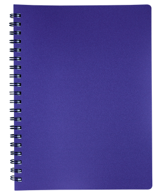 Тетрадь для записей STATUS, L2U, А4, 80 л., клетка, чароит, пласт.обложка BM.24452153-52 фото