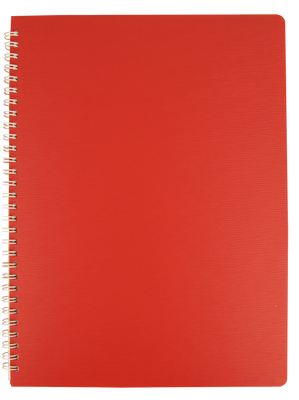 Зошит на пружині "BARK" А4, 60арк.,кл., пластик.обкл., червоний BM.24454154-05 фото