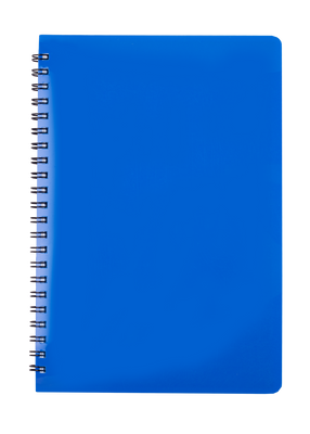 Тетрадь для записей GLOSS, L2U, В5, 80л., клетка, пластиковая обложка, синяя BM.24552151-02 фото
